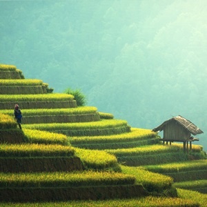 ISO 14063 